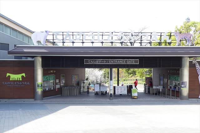 Tennoji Zoo Ticket in Osaka - Value: a low-cost way to add animals to your Osaka day