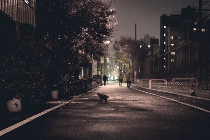 The Dark Side of Osaka Walking Tour - Jan Jan Yokocho, a narrow street with old Osaka character