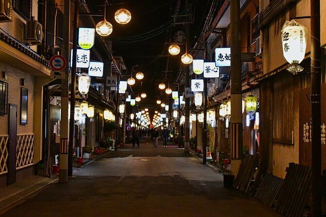 The Dark Side of Osaka Walking Tour - Is $25 good value for this Osaka walk?
