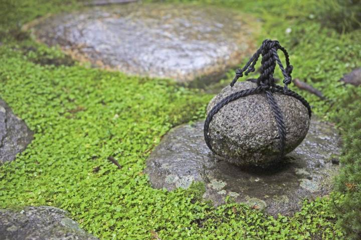 The "Golden Route" and Ancient Japan by DIAMIR Erlebnisreisen - 14-Day Tour - Kyoto begins with bamboo, gardens and temple bells