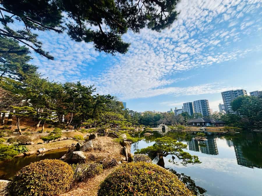 The Journey of Hiroshima from Tragedy to Peace - Hiroshima National Peace Memorial Hall and personal stories