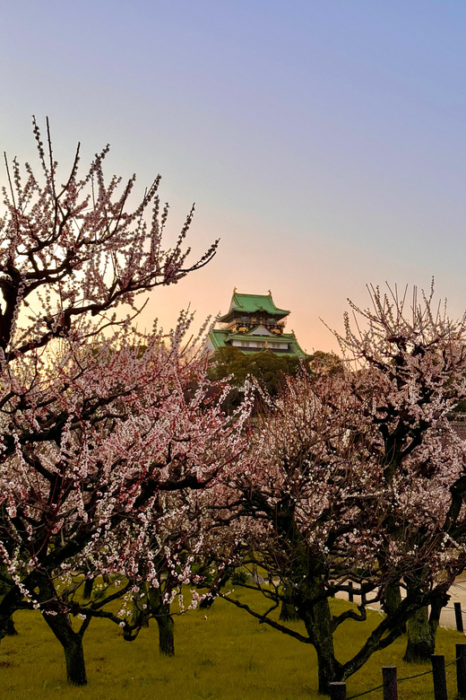 (Ticket Included) Explore Osaka Castle & Museum of History - Key points to know before booking