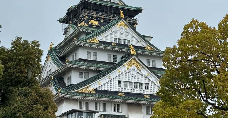 (Ticket Included) Explore Osaka Castle & Museum of History - Why this Osaka pairing works so well
