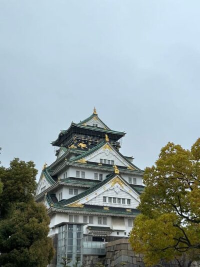 (Ticket Included) Explore Osaka Castle & Museum of History