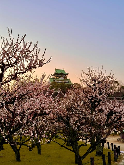 (Ticket Included) Explore Osaka Castle & Museum of History - Views from the museum’s 8th-floor deck