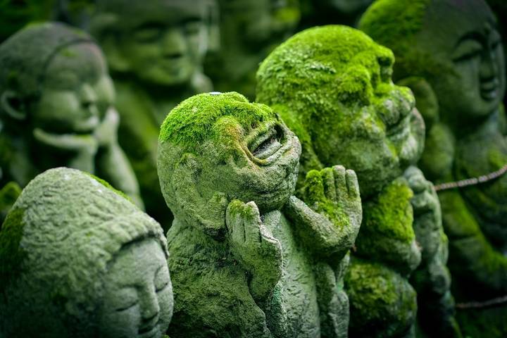 Timeless Japan by Cosmos - 10-Day Tokyo to Osaka Tour Review - Japan in ten days, with the big sights in reach