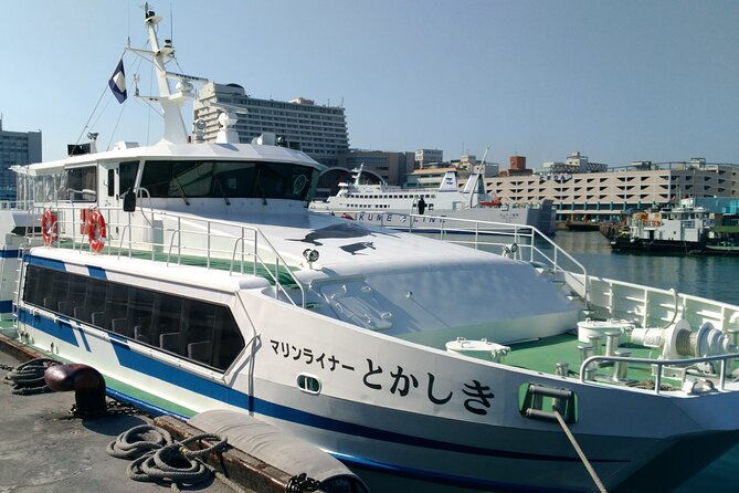 Tokashiki Island Day Trip from Naha - What the $62.35 price really covers