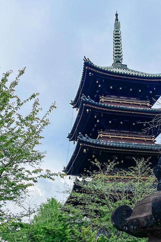Tokio A: Tour de la ciudad en Español - Spanish - Ueno Park and the 80-minute lunch break
