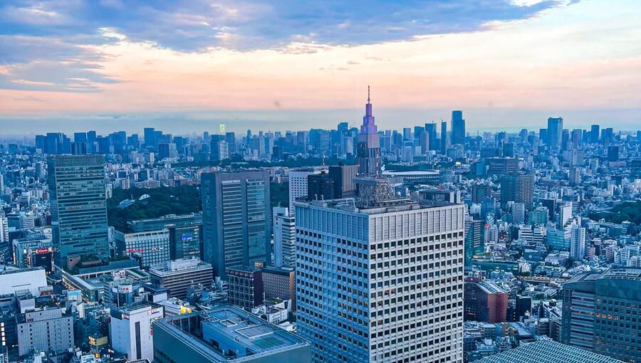 Tokio A: Tour de la ciudad en Español - Spanish - Shinjuku and the city viewpoint