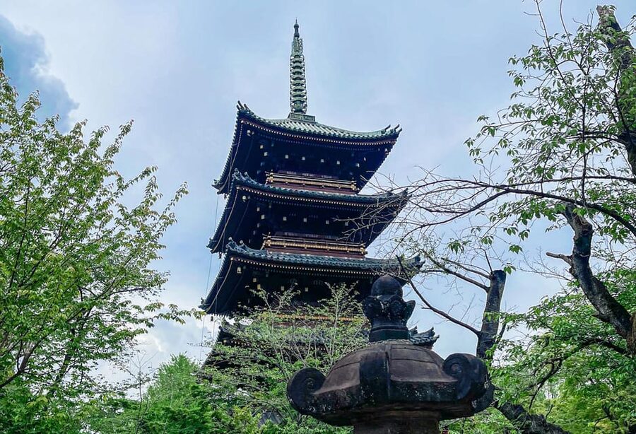 Tokio A: Tour de la ciudad en Español - Spanish - What the $96 price really covers