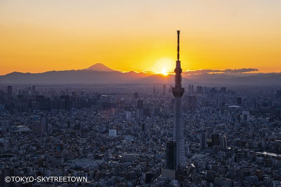 Tokyo: 1 Day Bus Tour with Meiji-Jingu,Odaiba,lunch&Skytree - Imperial Palace Plaza: a photo stop with context