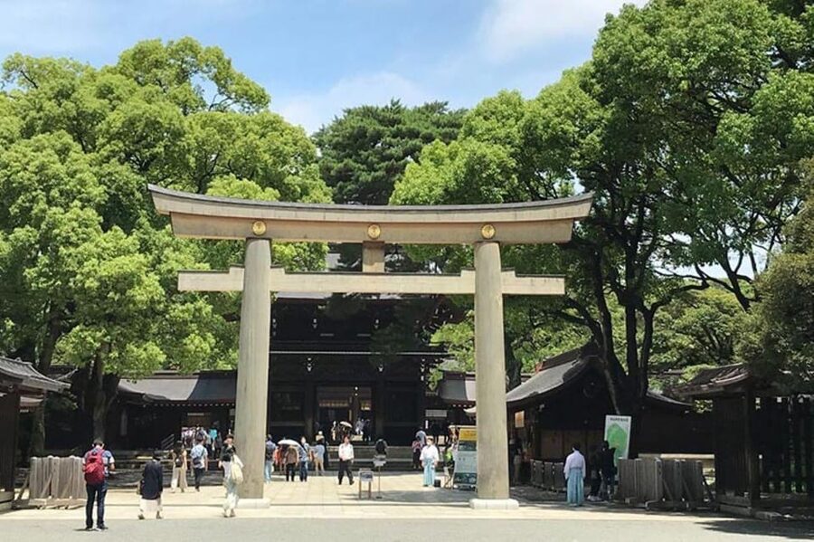 Tokyo: 1 Day Bus Tour with Meiji-Jingu,Odaiba,lunch&Skytree - Buffet lunch at Haneda: a useful pause