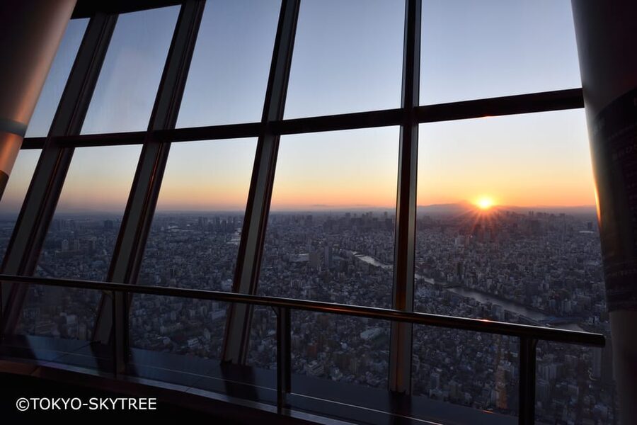 Tokyo: 1 Day Bus Tour with Meiji-Jingu,Odaiba,lunch&Skytree - Asakusa and Senso-ji: old Tokyo in 50 minutes