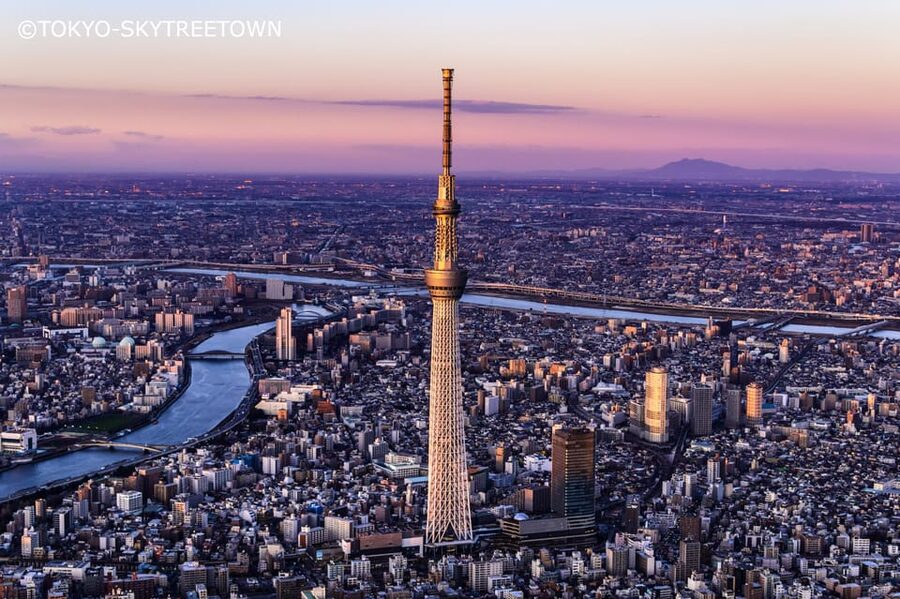 Tokyo: 1 Day Bus Tour with Meiji-Jingu,Odaiba,lunch&Skytree - Meiji Shrine: Tokyo’s quiet opening