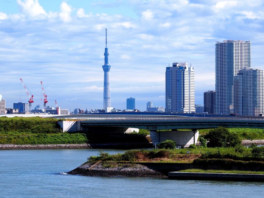 Tokyo: 1-Day Private Customizable Tour by Car - Meiji Shrine gives the day a quieter pause