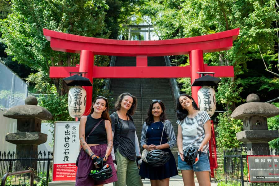 Tokyo: 3-hour Guided E-Bike Tour of the City's Hidden Gems - Who should book it
