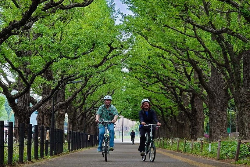 Tokyo: 3h Private E-bike Tours, Starting at Your Hotel - Why a bicycle gives you a better look at Tokyo