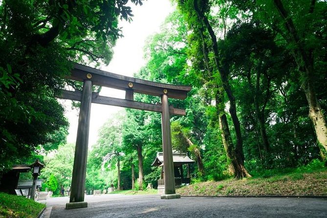 Tokyo 6hr Private Tour with Government-Licensed Guide - Shibuya, Harajuku, and Yoyogi Park