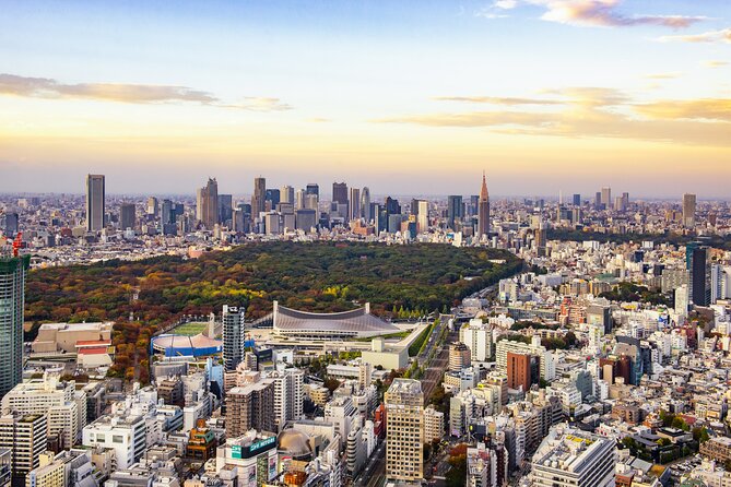 Tokyo 8hr Private Tour with Licensed Guide from Yokohama - Leaving Yokohama for Tokyo by train