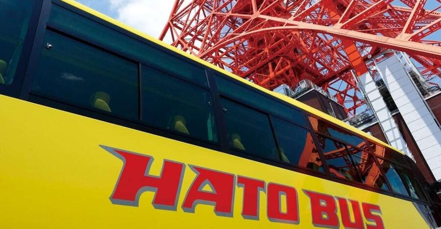 Tokyo: A Half-Day Trip Bus Tour in the Morning - Bus comfort, meeting points, and practical limits