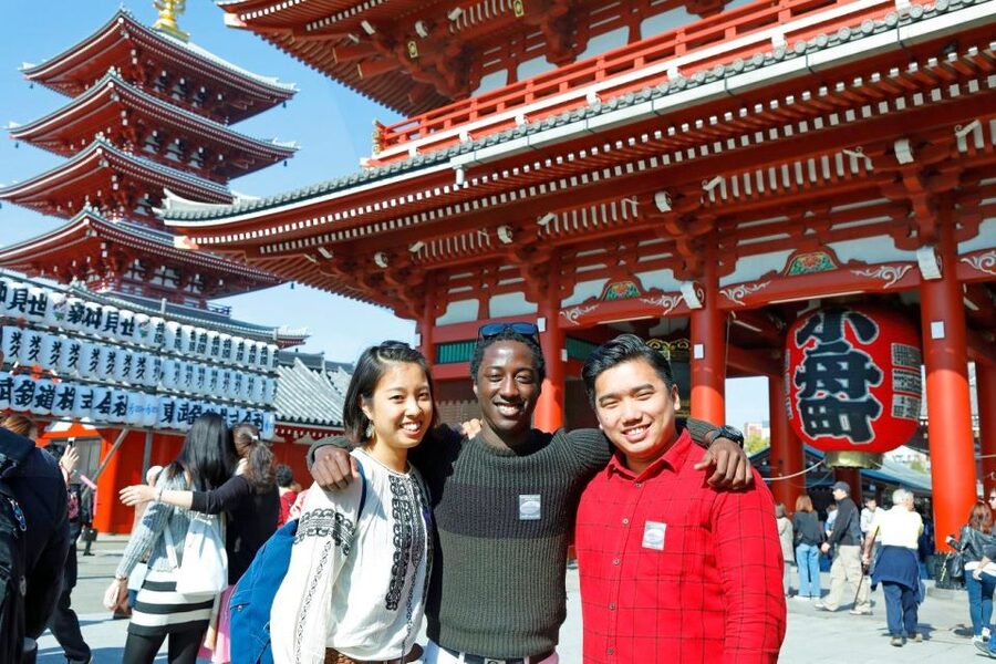 Tokyo: A Half-Day Trip Bus Tour in the Morning - Who will get the most value