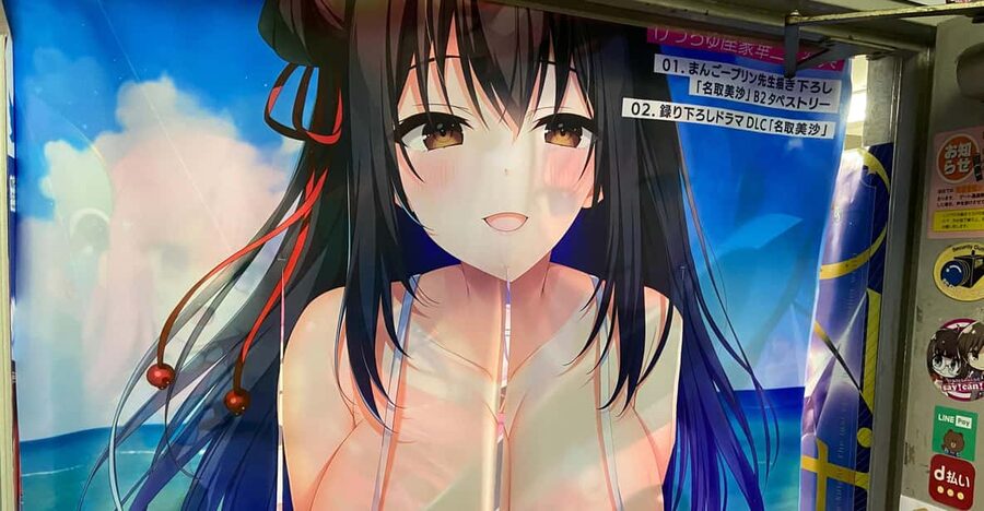 Tokyo: Akihabara Private Hentai Tour - Shopping for manga, games, and adult media