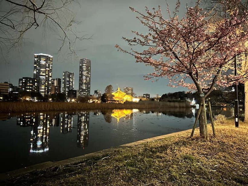 Tokyo: Akihabara, Shibuya, Karaoke & City Lights Night Tour - Karaoke in a private room