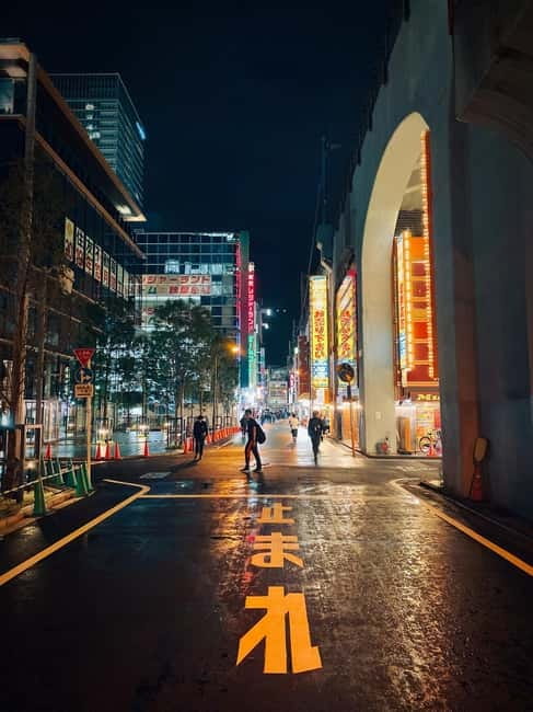 Tokyo: Akihabara, Shibuya, Karaoke & City Lights Night Tour - The guides and the language choice