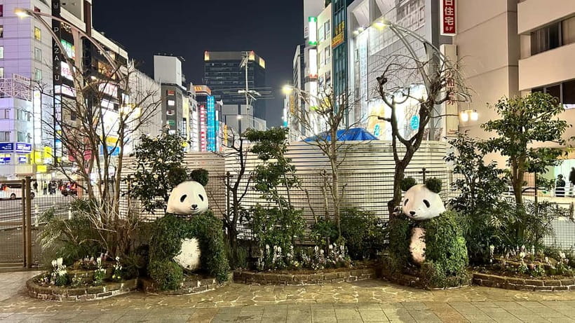 Tokyo: Akihabara, Shibuya, Karaoke & City Lights Night Tour - Meeting at Ueno Park near Exit C7