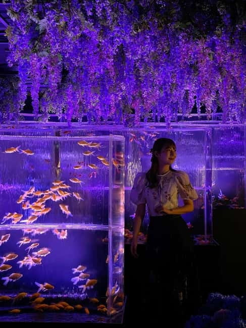 Tokyo: Art Aquarium Museum GINZA Entry Ticket - Finding the museum inside Ginza Mitsukoshi