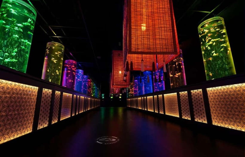 Tokyo: Art Aquarium Museum GINZA Entry Ticket - Music, scent, and the changing mood