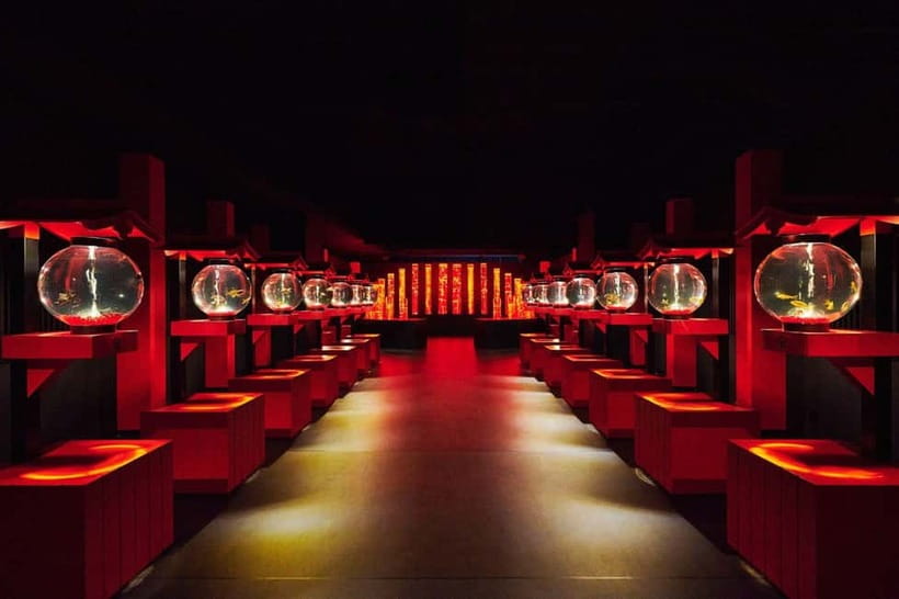 Tokyo: Art Aquarium Museum GINZA Entry Ticket - Making the most of a one-hour visit