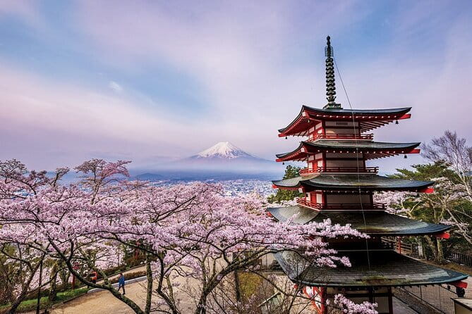 Tokyo: Asakusa Temple & Shrine Walking Tour with Local Guide - Nakamise Shopping Street, with help choosing what to buy