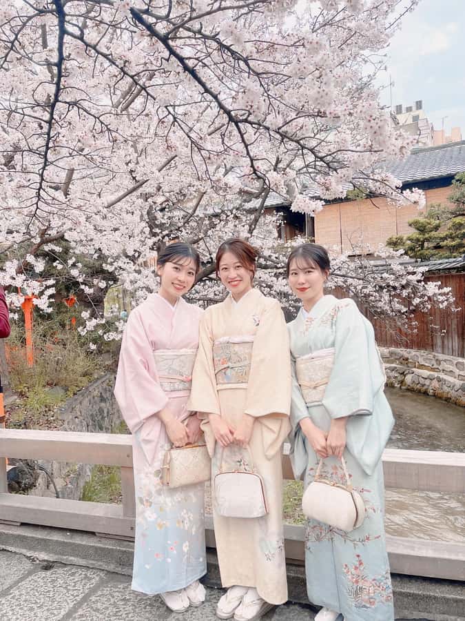 Tokyo Asakusa: Traditional Kimono Rental Experience at Wargo - Choosing between classic patterns and modern designs