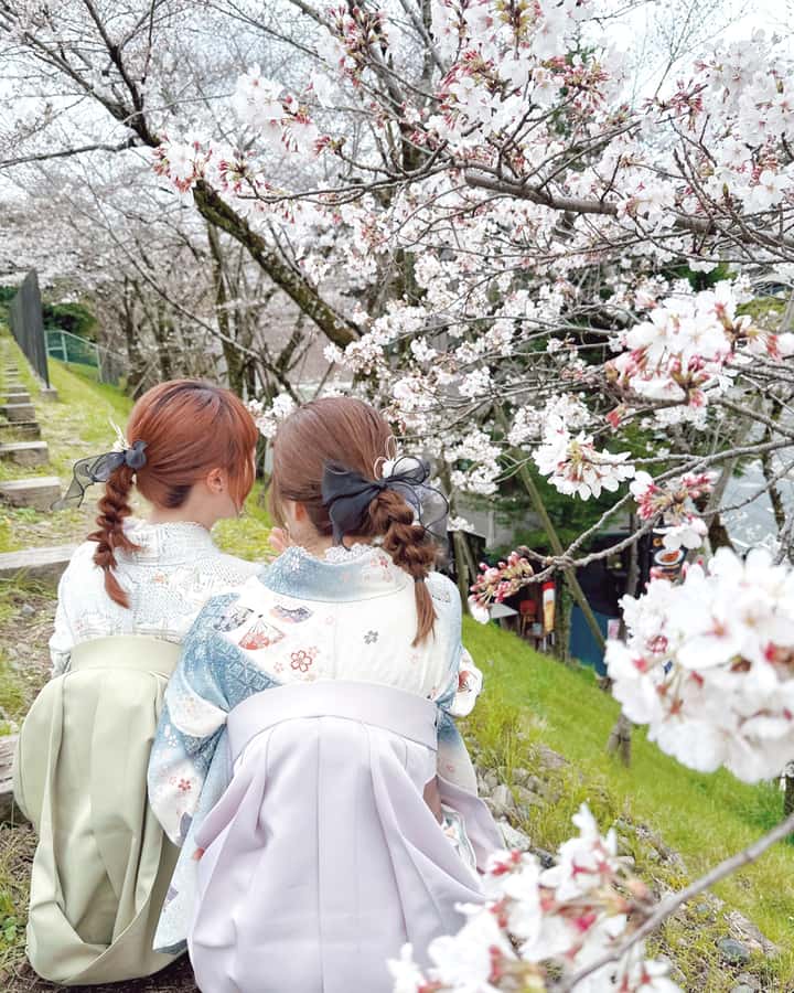 Tokyo Asakusa: Traditional Kimono Rental Experience at Wargo - Photos, lunch, and a sensible return time