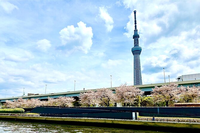 Tokyo Bay Yakatabune Cruise with Traditional JapaneseShow Drinks - The 60-minute route through Tokyo Bay