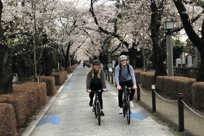Tokyo Bike Tour: Shibuya & Hidden Tokyo - Why cycling makes sense in western Tokyo