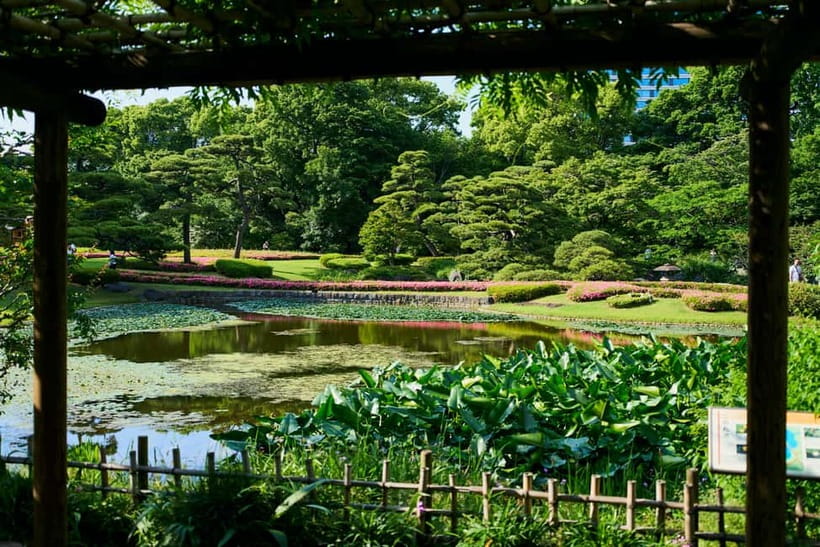 Tokyo Castle & Imperial PalaceーShogun Walking Tour - The guides make or break the experience