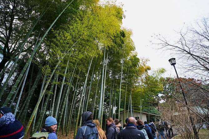 Tokyo Castle & Imperial PalaceーShogun Walking Tour - Why Edo Castle matters to Tokyo