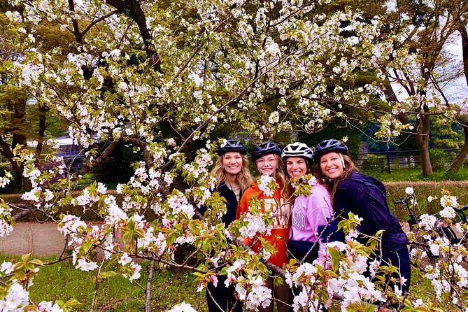Tokyo Cherry Blossoms blooming spots E-bike Tour, 3hrs - Chidorigafuchi: a strong opening view