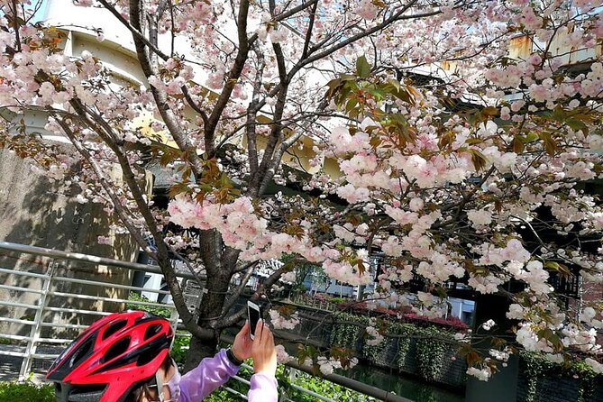 Tokyo Cherry Blossoms blooming spots E-bike Tour, 3hrs - Yasukuni Shrine brings a quieter pause