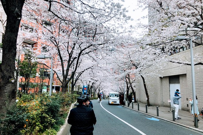 Tokyo Cherry Blossoms blooming spots E-bike Tour, 3hrs - Hibiya Park adds a short city break