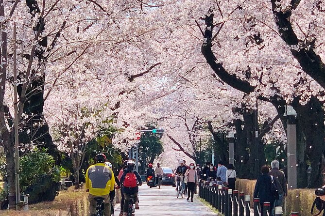 Tokyo Cherry Blossoms blooming spots E-bike Tour, 3hrs - Kensei Kinenkan provides the final walkaround