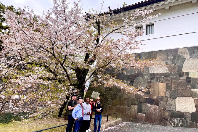Tokyo Cherry Blossoms blooming spots E-bike Tour, 3hrs - The guides make the difference