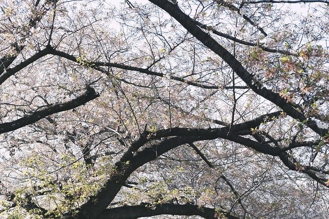 Tokyo City 1-Day Private Tour with Bilingual Driver - Odaiba: two hours for Tokyo Bay’s modern side
