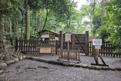 Tokyo City Attractive One Day Tour