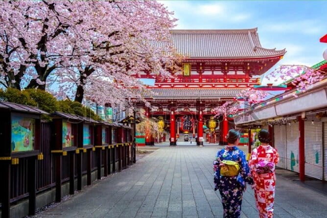 Tokyo City Tour by Private Car & English guide - Key details before you book