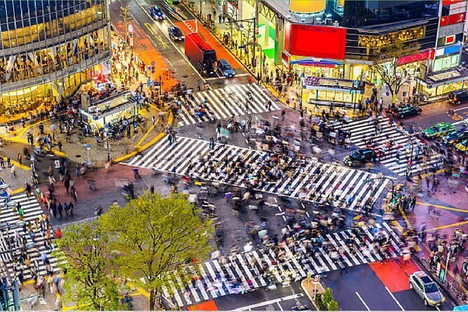 Tokyo City Tour by Private Car & English guide - Tsukiji Outer Market: plan your own lunch