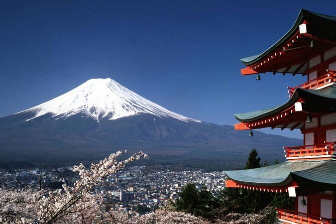 Tokyo City Tour by Private Car & English guide - Optional Imperial Palace gardens and Tokyo Tower