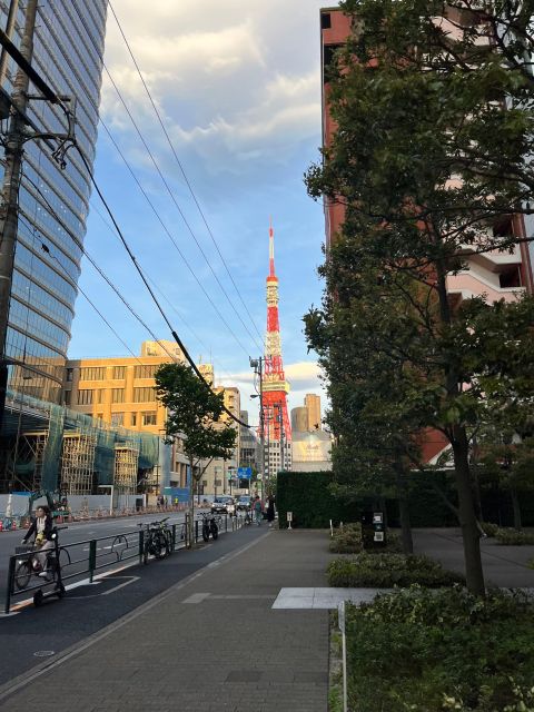 tokyo city walk tour visit Tokyo in one day - Meiji Shrine: a calmer introduction to Shinto